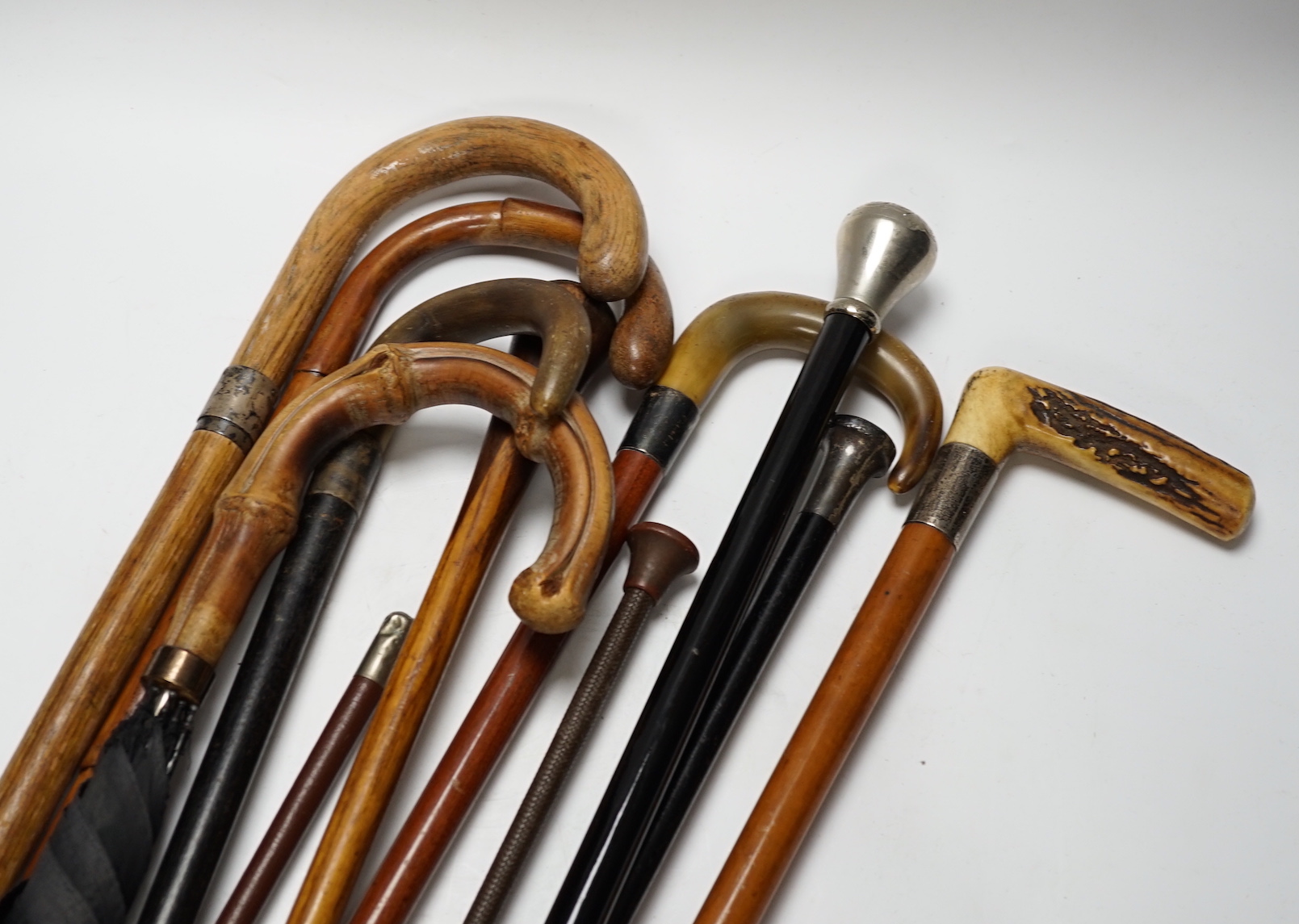 Eleven walking sticks, canes and riding crops, three with horn handles, longest 89cm